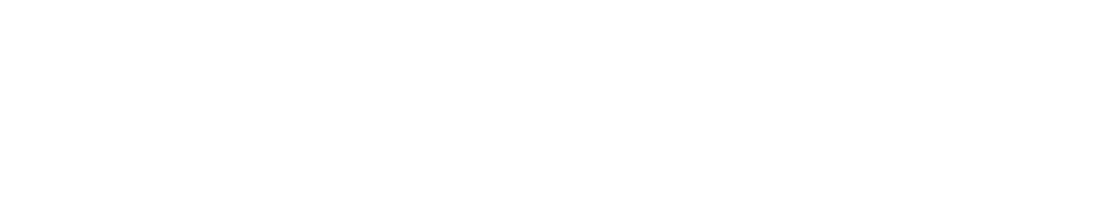 Secureye
